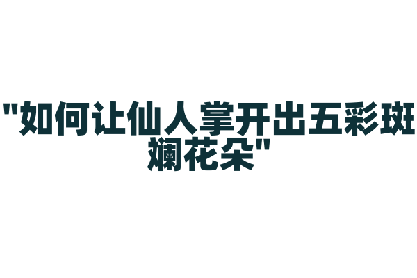 "如何让仙人掌开出五彩斑斓花朵"
